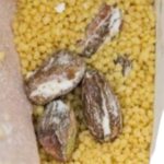 сублімований кус кус з апельсином та фісташками вигляд продукту